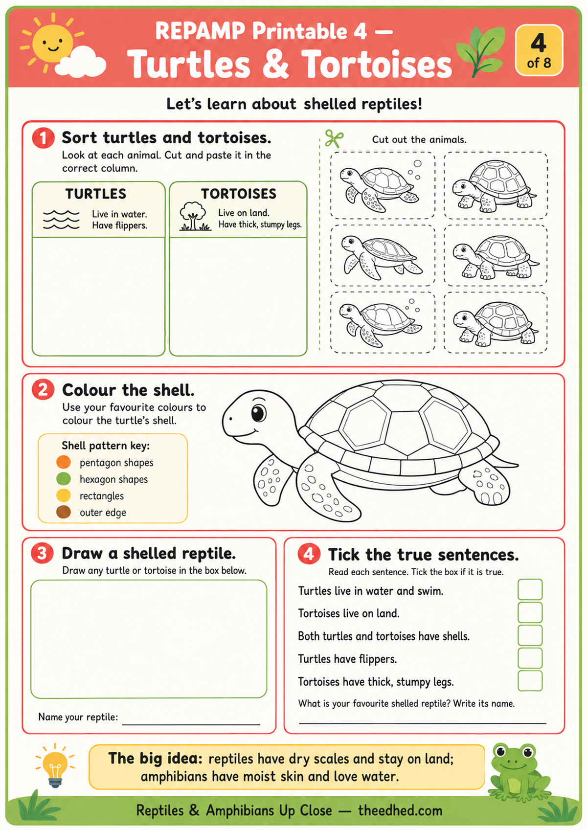 Reptiles & Amphibians Up Close – Kids Digital Infographic & Printable Worksheet Pack