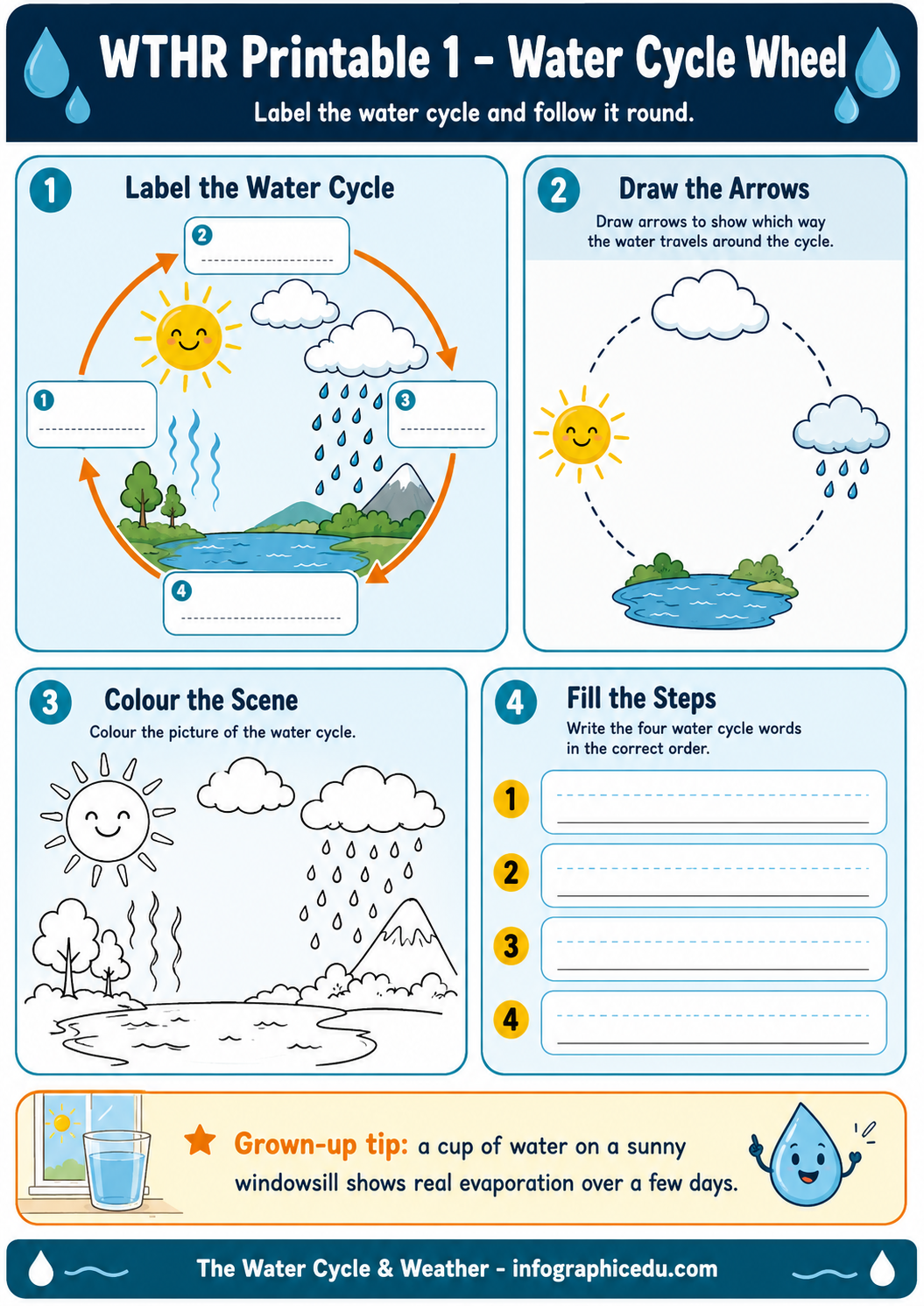 Educational worksheet on the water cycle with labeled diagram, arrows, and coloring activity.