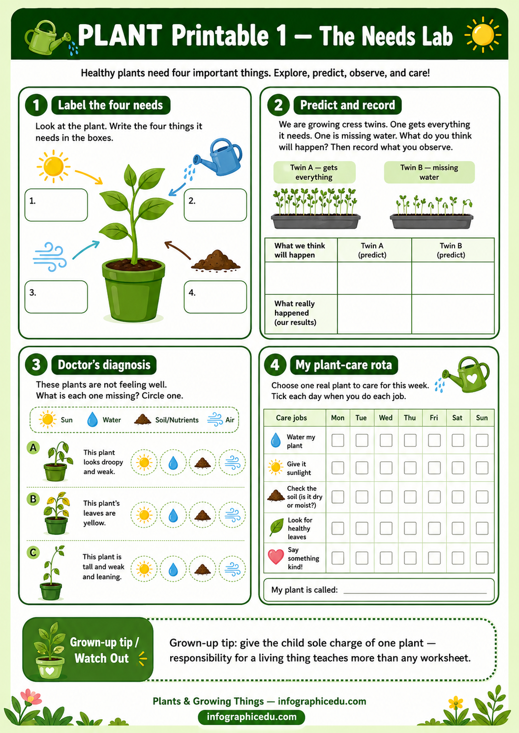 Plants & Growing – Kids Digital Infographic Course & Printable Worksheet Pack