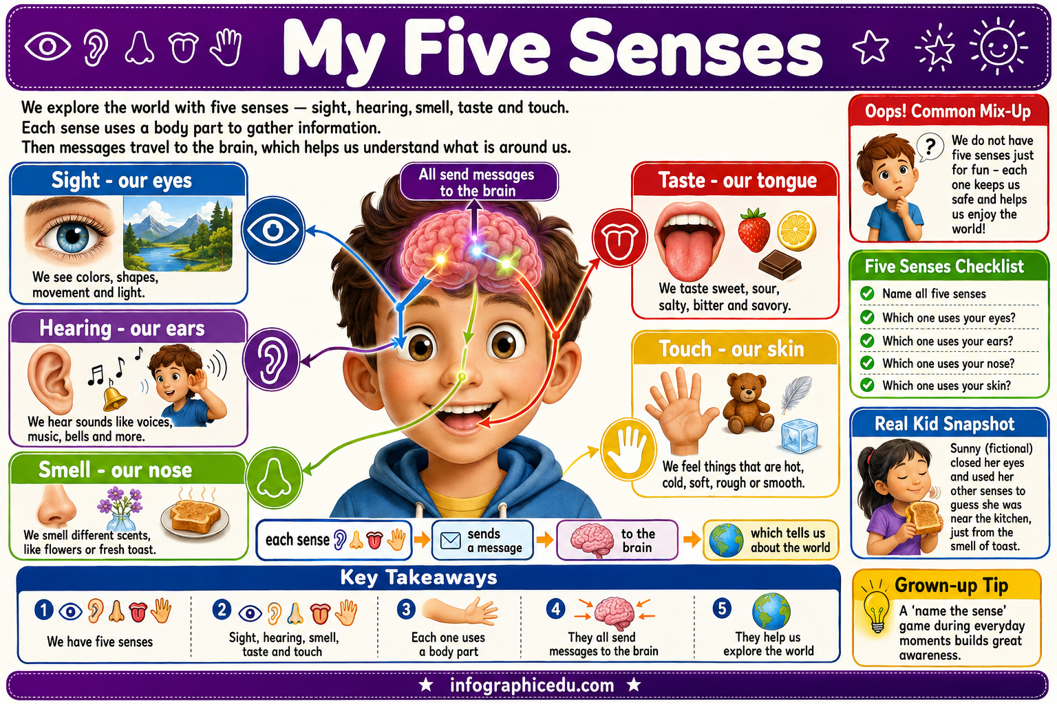 Educational chart about the five senses with illustrations and text.