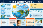 Educational poster about the water cycle with cartoon characters and text.