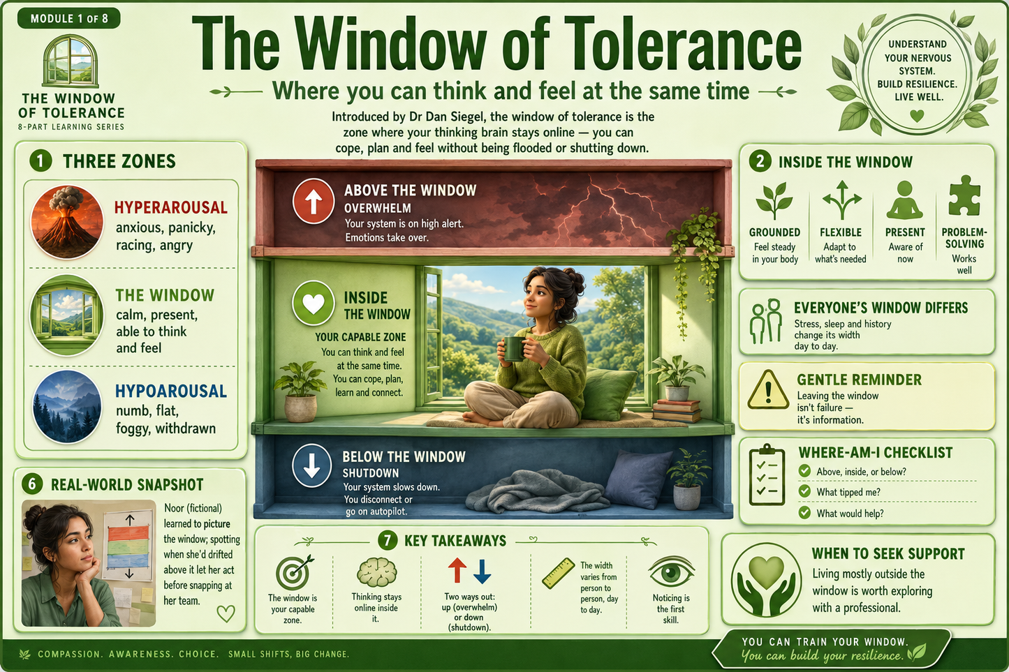 Diagram of 'The Window of Tolerance' with visual elements and text.