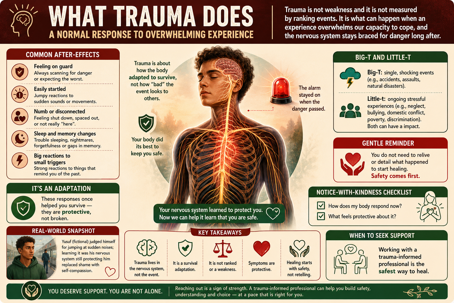 Educational infographic about trauma and its effects on the body