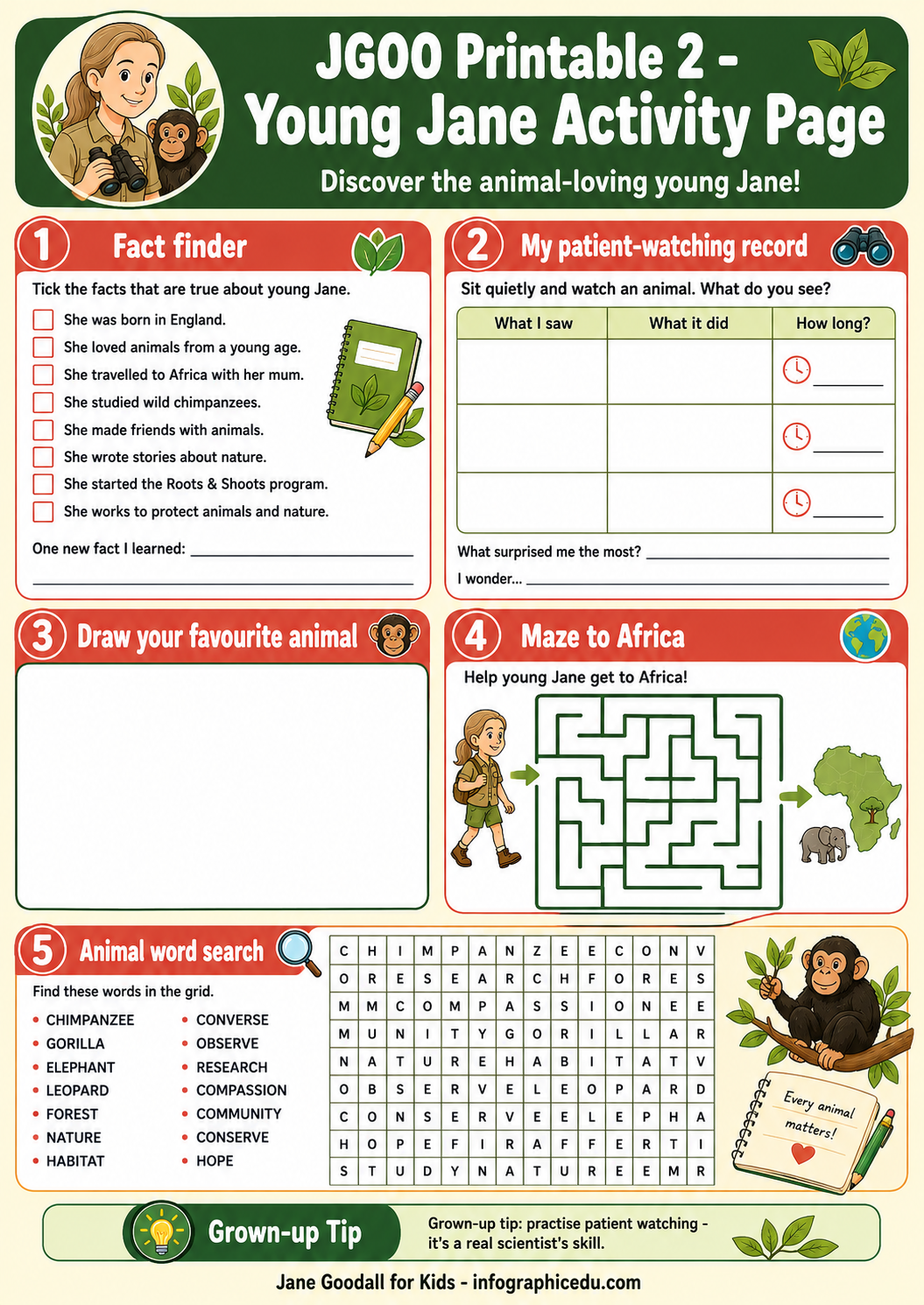 Young Jane activity page with various educational activities on a green background