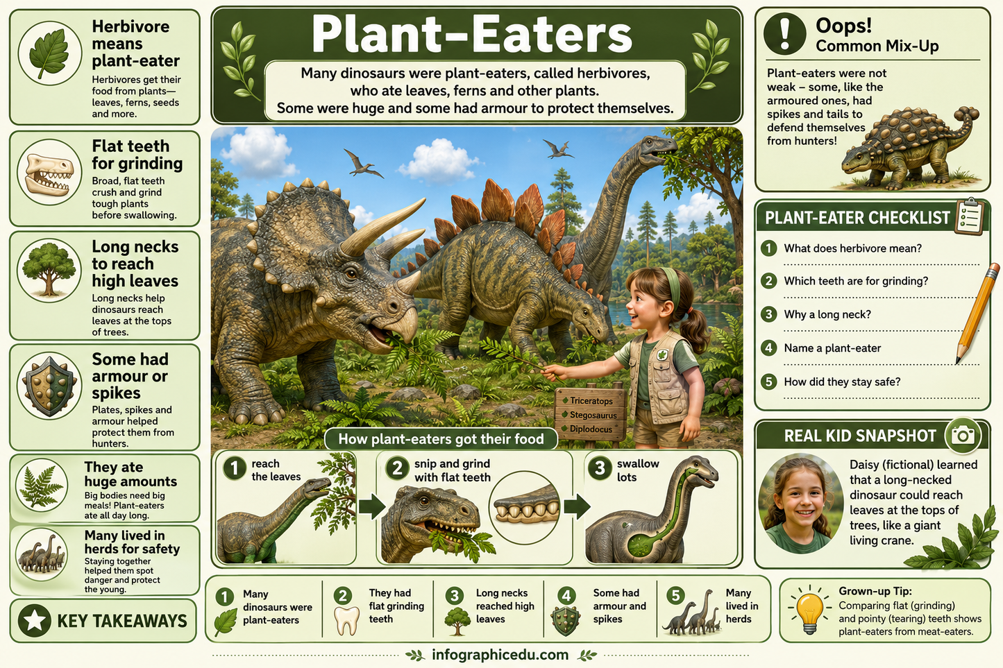 Educational infographic about plant-eating dinosaurs with illustrations and text.