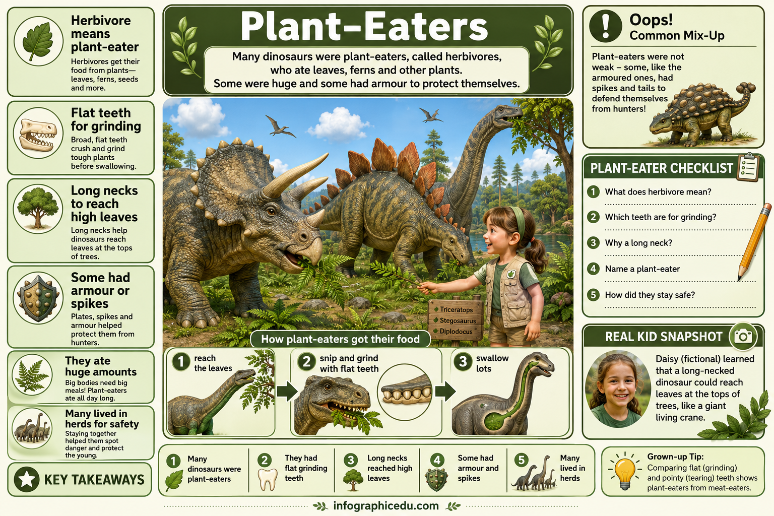 Educational infographic about plant-eating dinosaurs with illustrations and text.