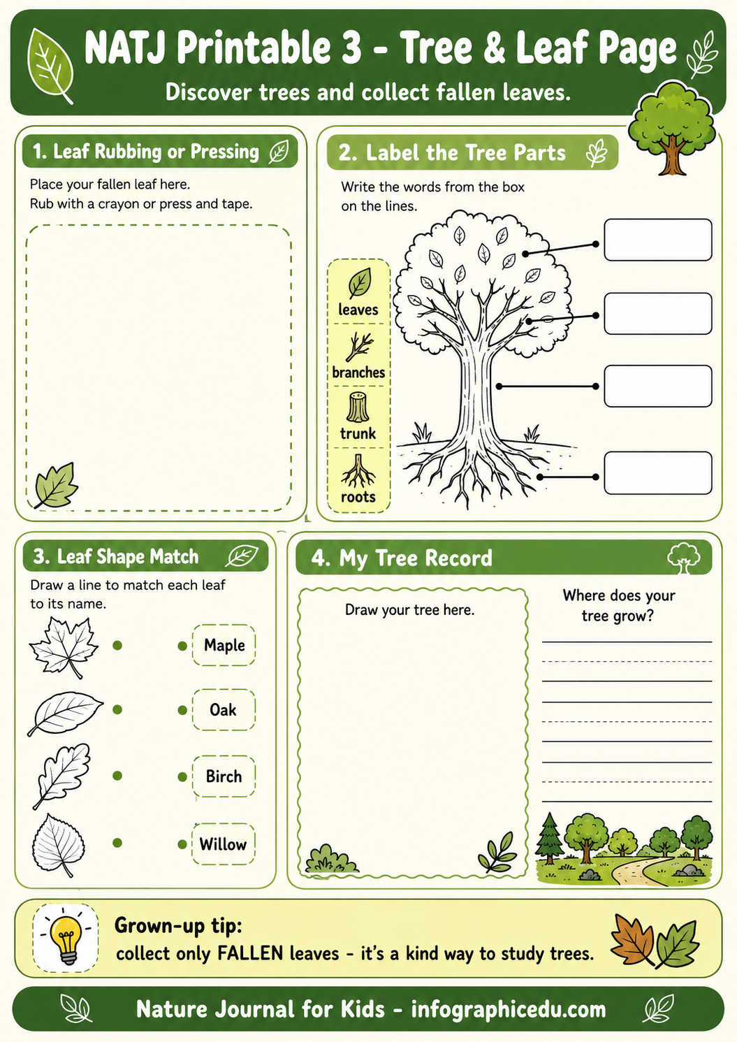 Educational worksheet for children about trees and leaves with various activities.