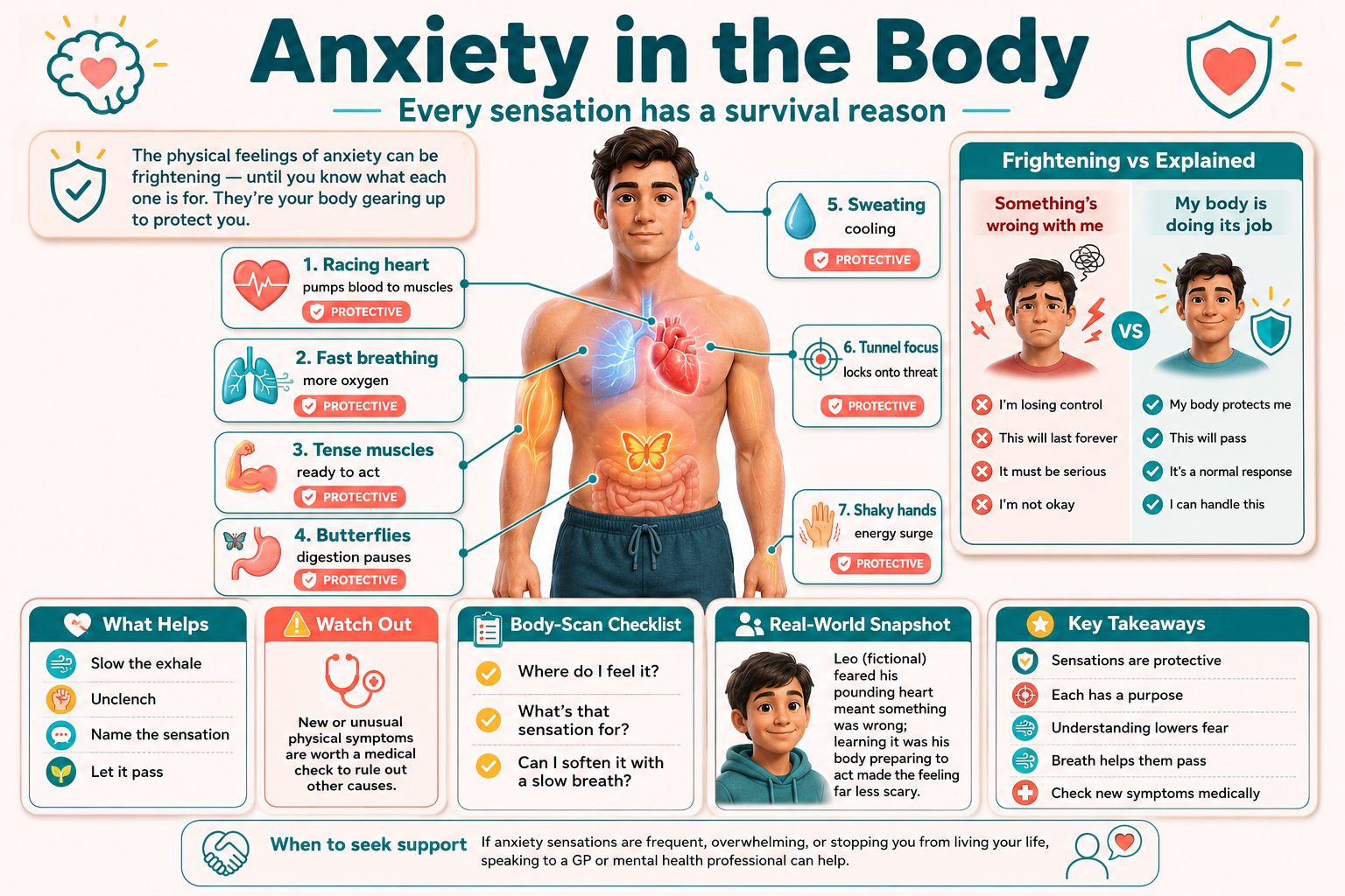 Educational infographic about anxiety in the body with anatomical illustrations and text.