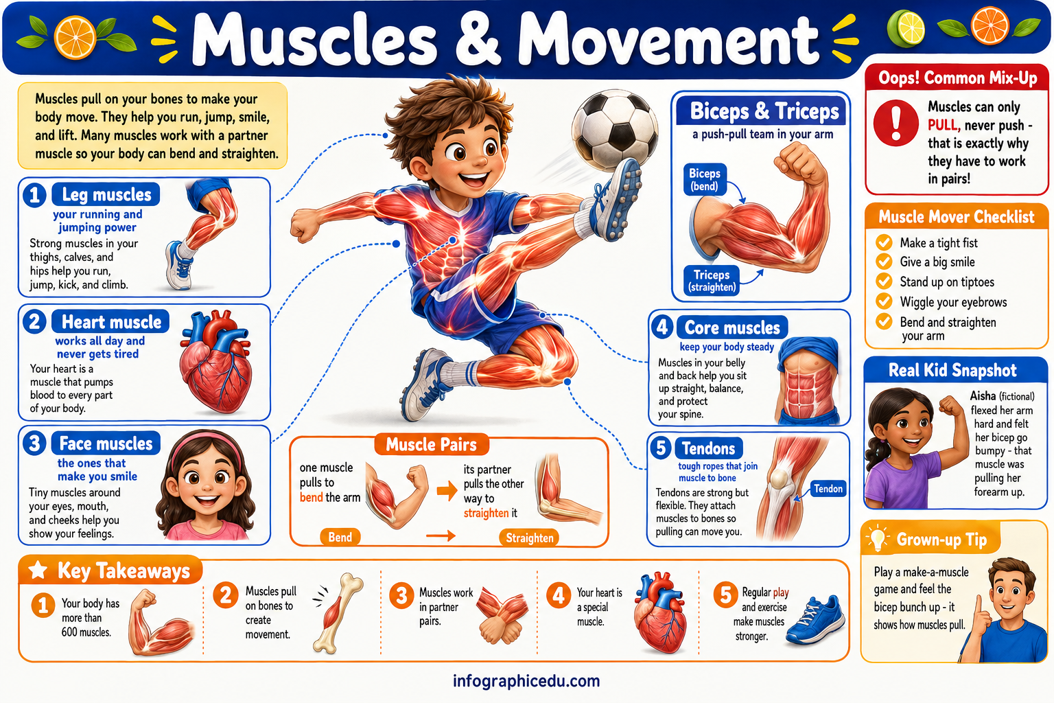 Educational poster about muscles and movement with a soccer player illustration and various muscle-related graphics.