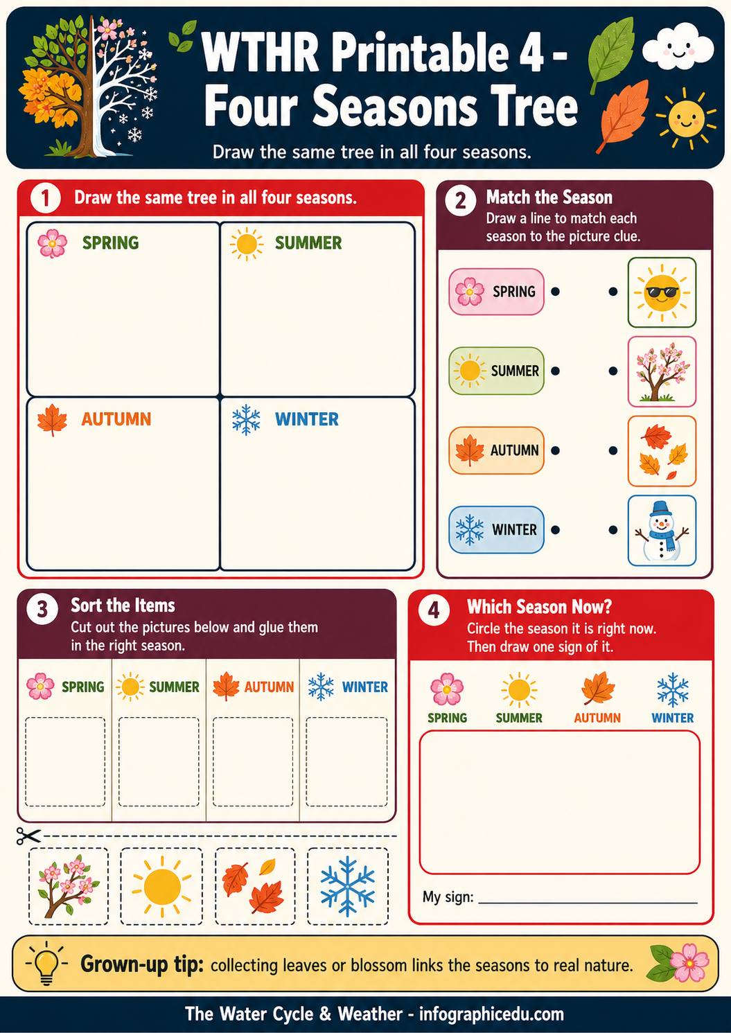 Educational worksheet for children to learn about the four seasons with a tree illustration.