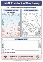 Animal Migration Journeys – Kids Digital Infographic & Printable Worksheet Pack