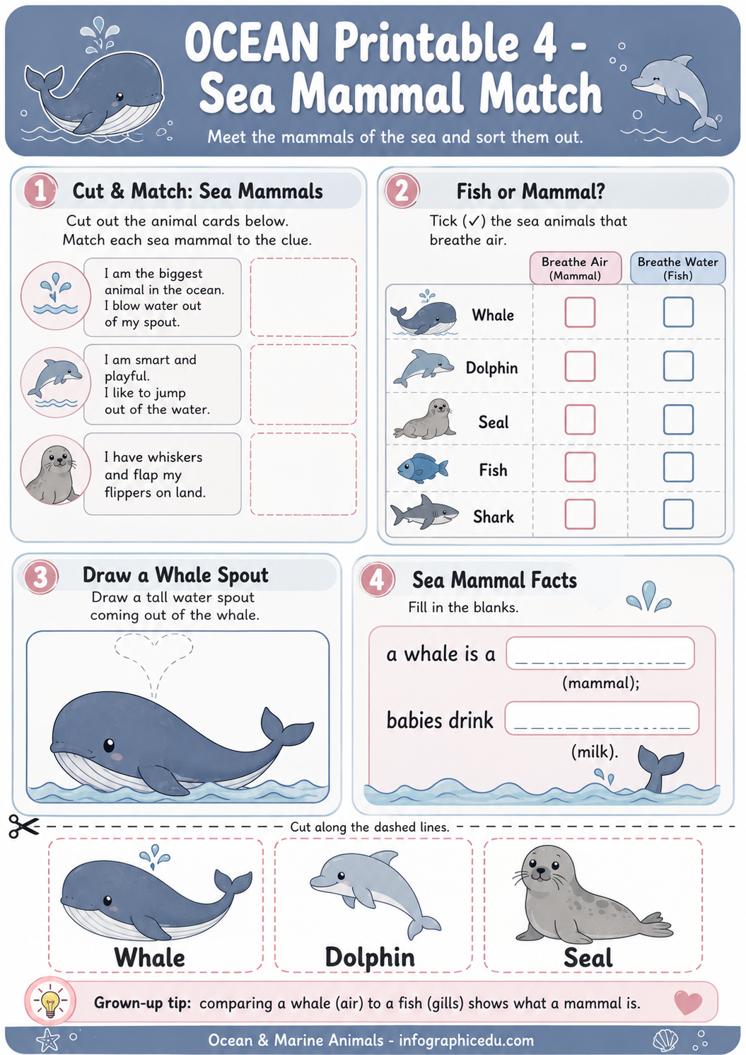 Ocean Animals & The Big Blue Ocean – Kids Digital Infographic Course & Printable Worksheet Pack