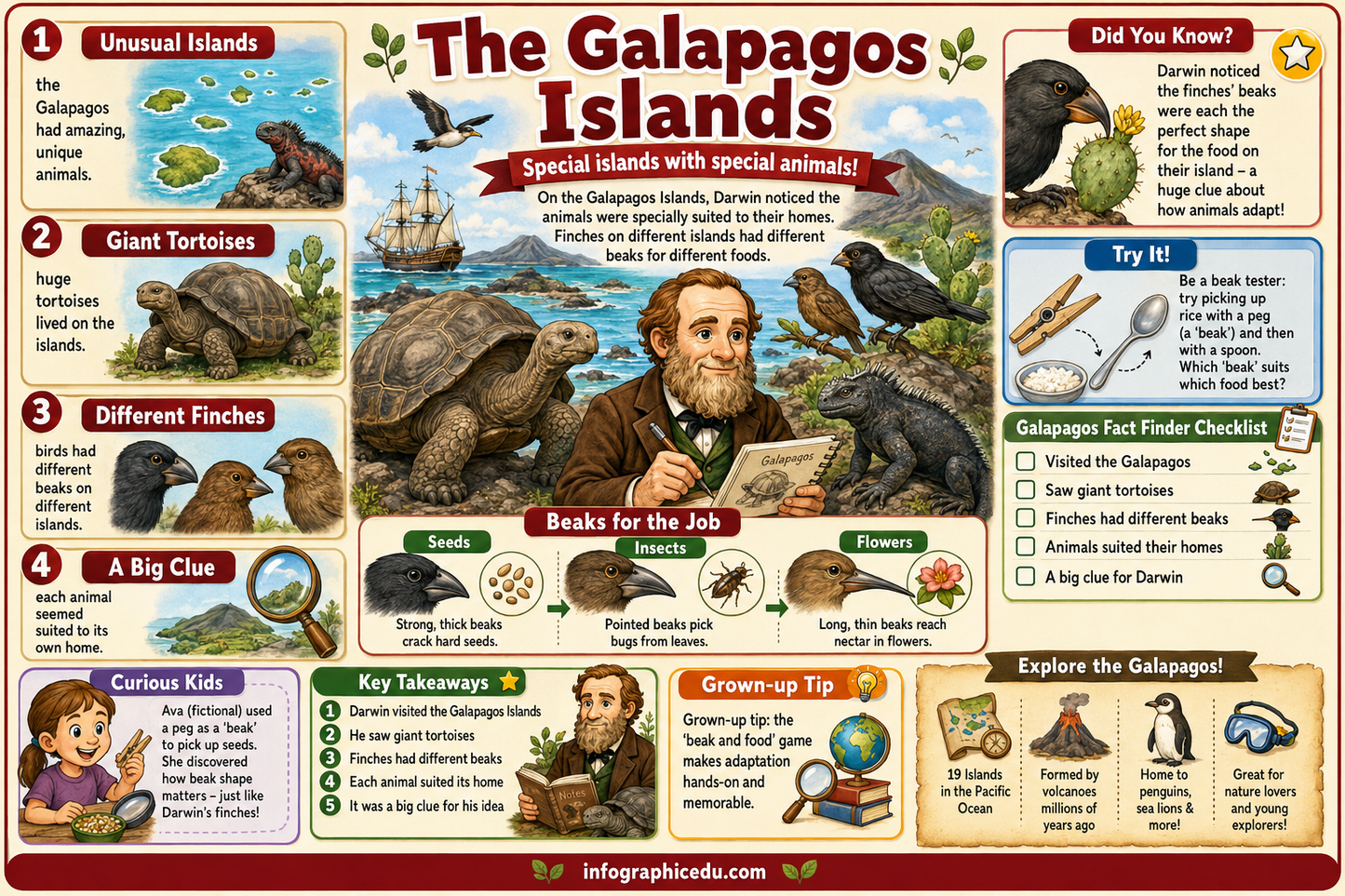 Charles Darwin – Digital Infographic Course & Printable Planner Pack