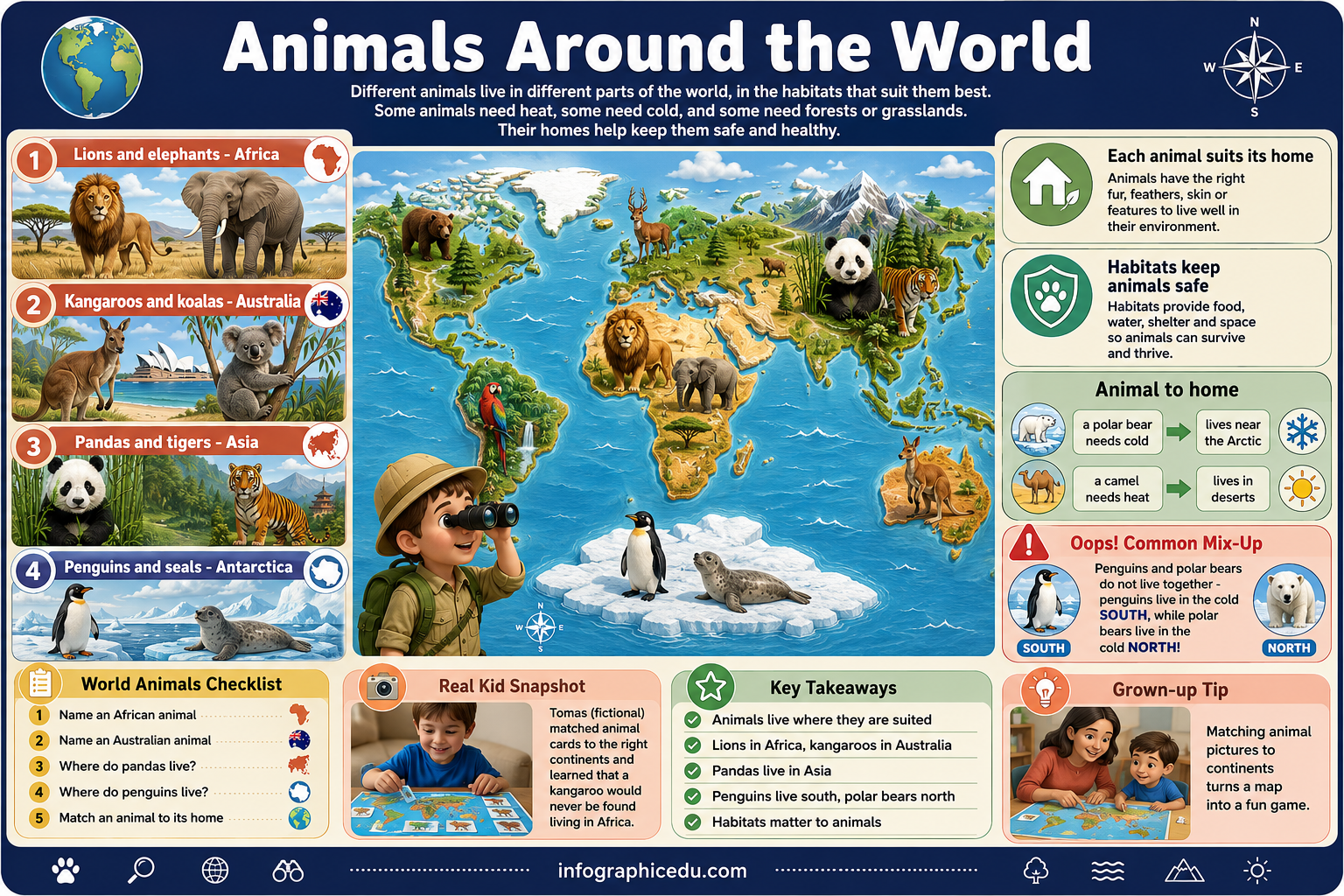 Educational poster about animals around the world with a map and various animal illustrations.