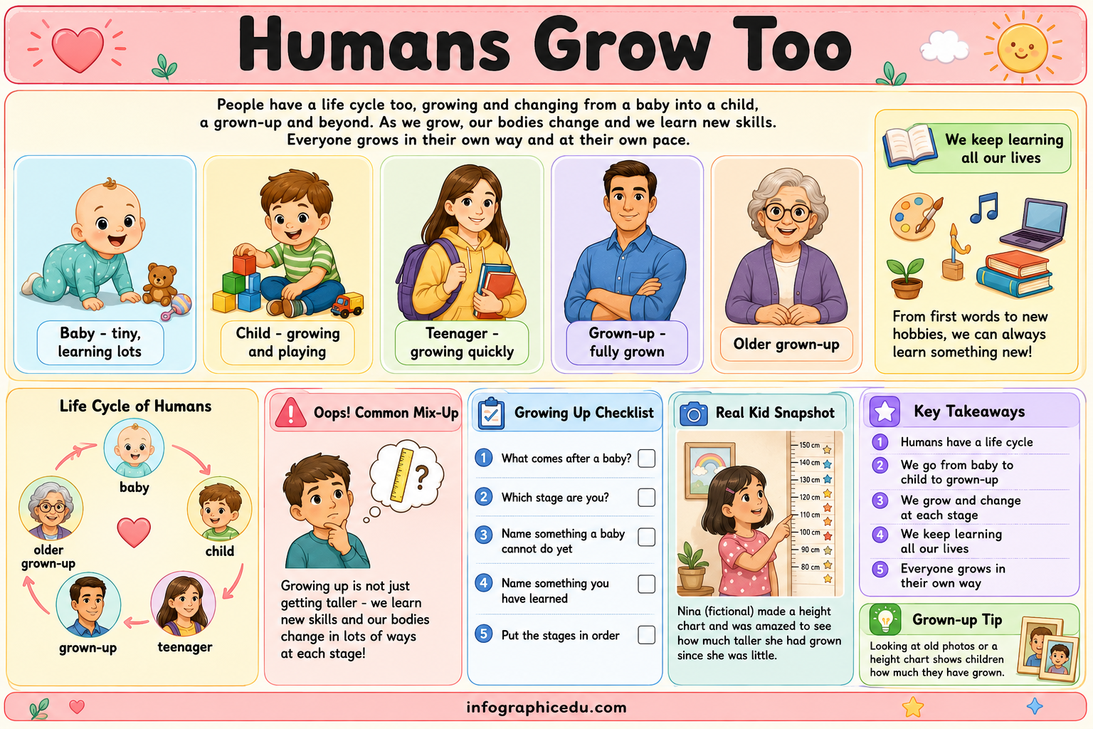 Educational chart about the life cycle of humans with various illustrations and text.