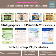 Promotional image for 'Understanding Your Nervous System' educational materials from InfographicEdu.com.