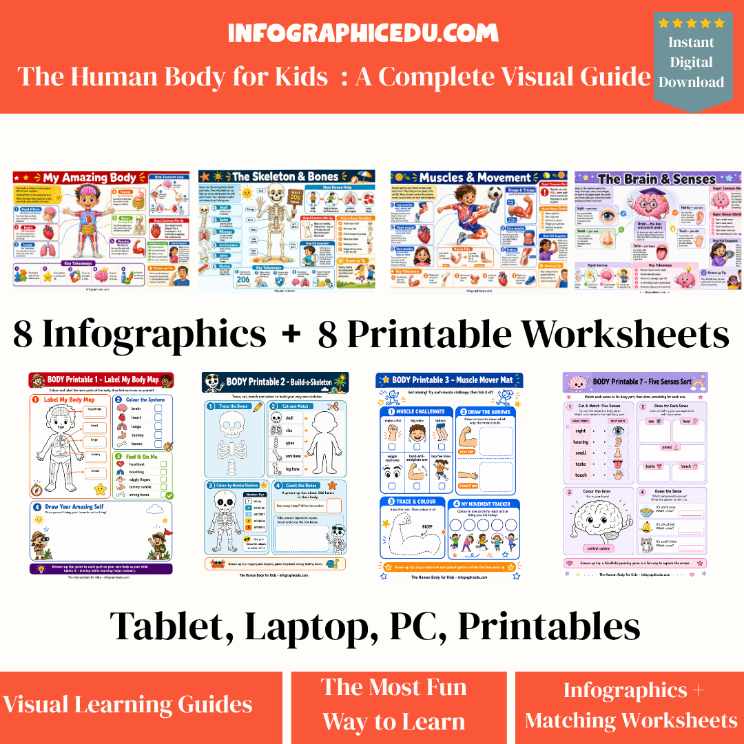 Educational materials for children on the human body with infographics and worksheets.