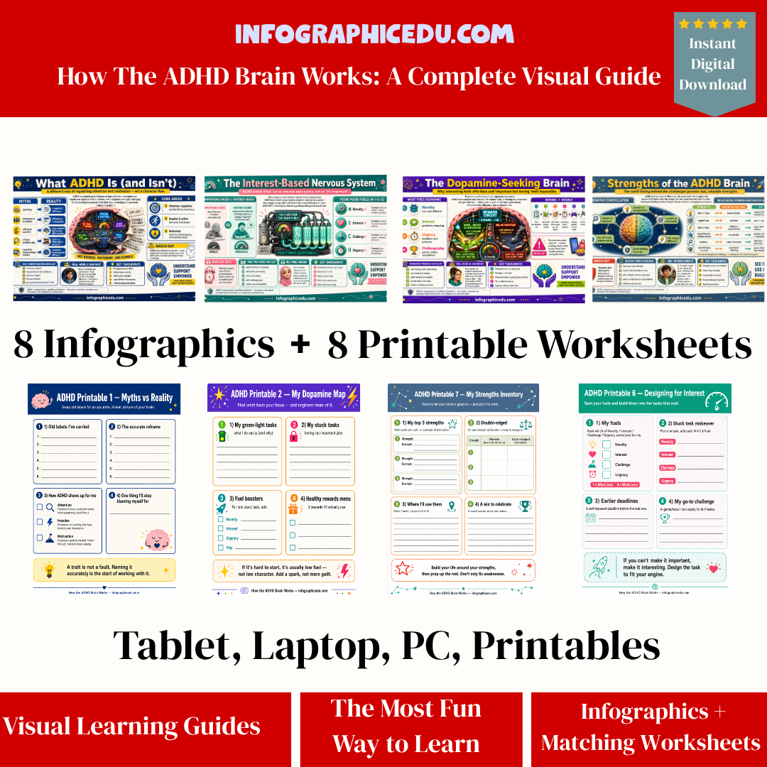 Promotional image for ADHD educational materials including infographics and worksheets from Infographic Edu.
