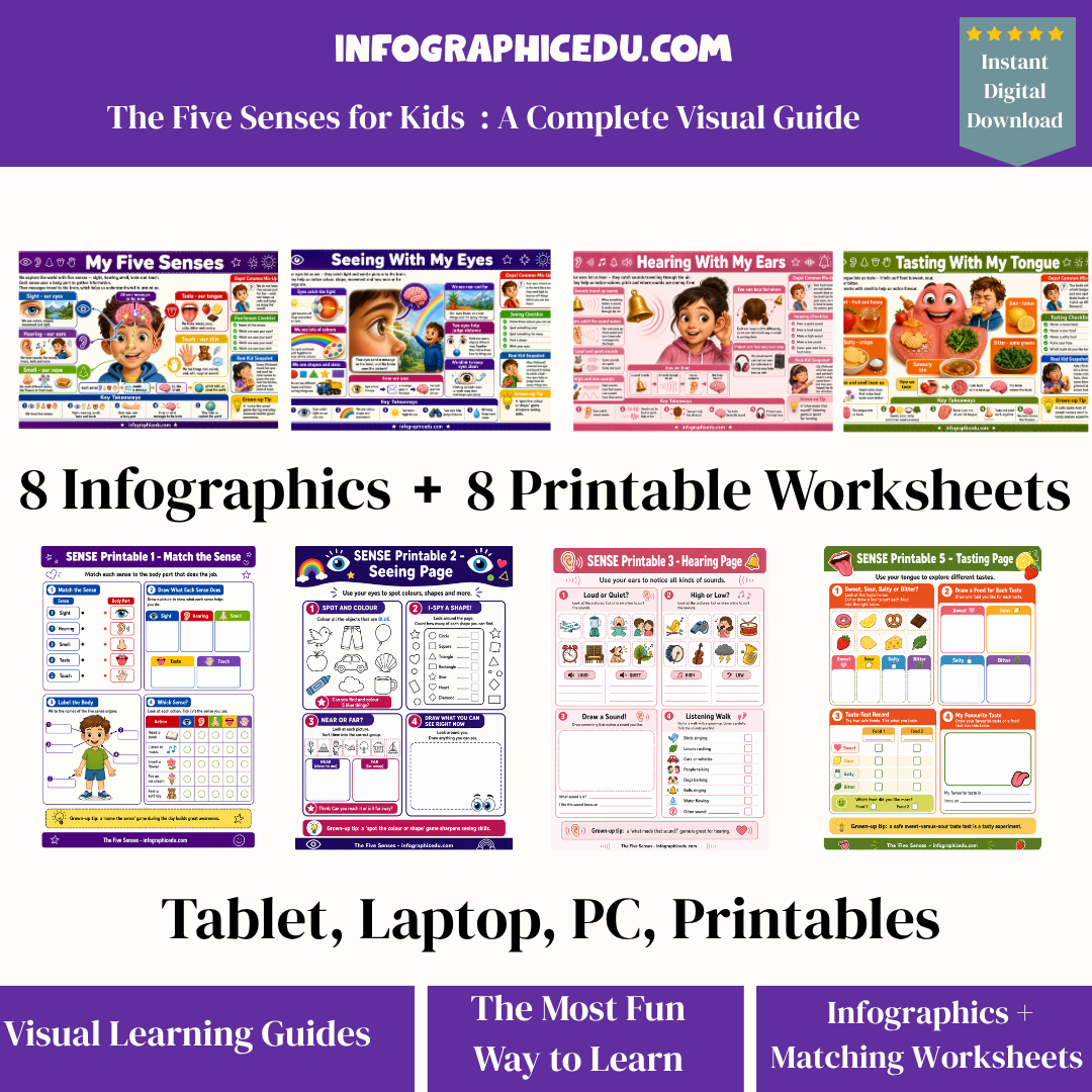 Educational materials for teaching the five senses to kids including infographics and worksheets.