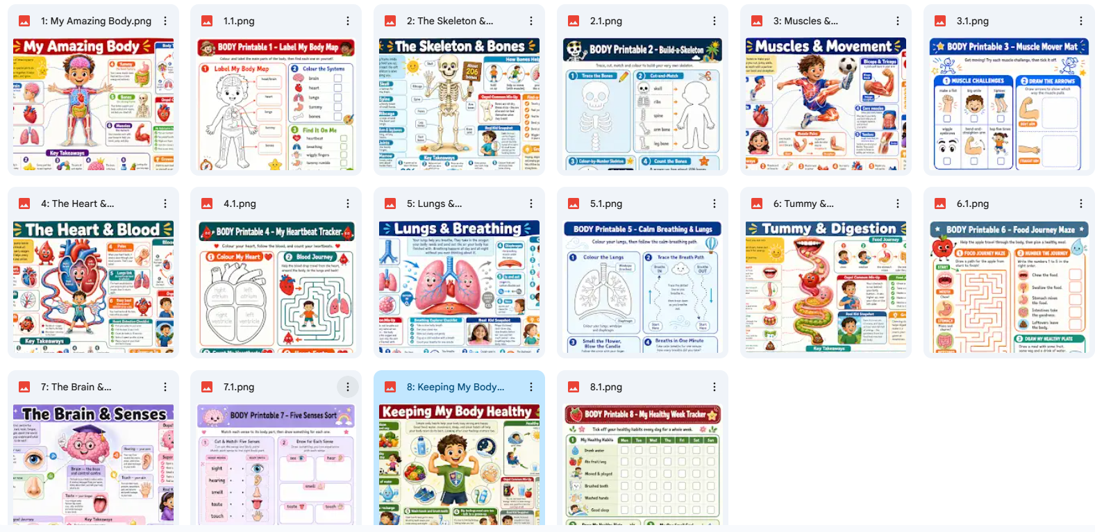 Collection of educational posters on a white background