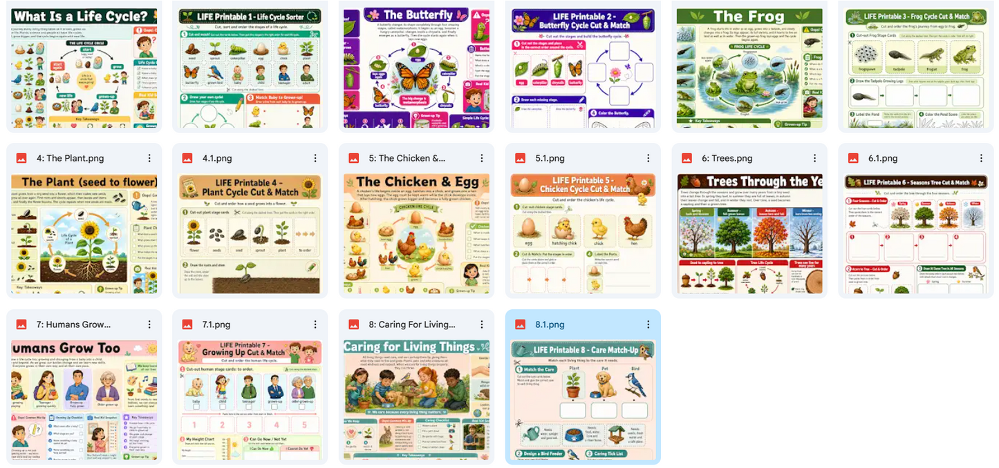 Collection of educational posters on various life cycles and stages of living things.