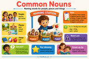 Common nouns Grade 1 educational infographic for ages 6 to 7