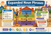Expanded noun phrases teaching infographic for Grade 2 sentence writing